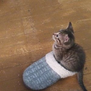 Meet your Posher, Angel